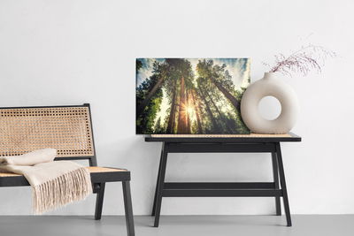 Ljuddämpande tavla - Sunrise forest