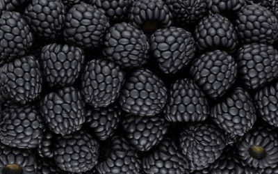 Ljuddämpande tavla - Blackberries on a macro scale