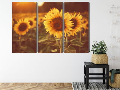 Ljuddämpande tavla - A field of sunflowers