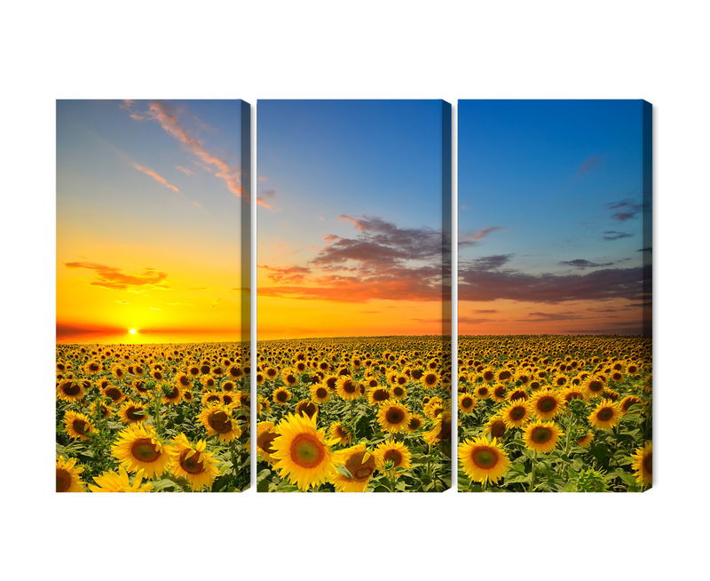 Ljuddämpande tavla - Sunset over a 3d sunflower