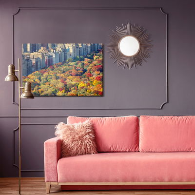Ljuddämpande tavla - Central park aerial view