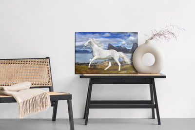 Ljuddämpande tavla - Horse at a gallop