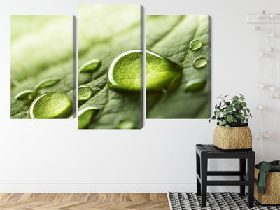 Ljuddämpande tavla - Water drops on a leaf