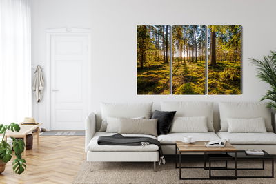 Ljuddämpande tavla - 3d sunny forest landscape