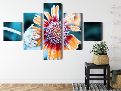 Ljuddämpande tavla - Rudbeckia flowers covered