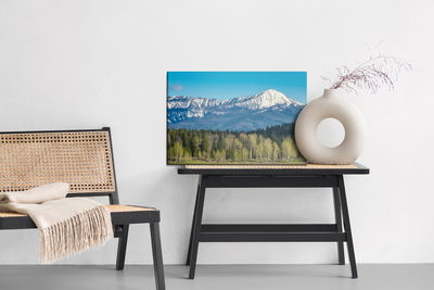 Ljuddämpande tavla - Grand teton national park
