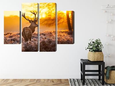 Ljuddämpande tavla - Deer in the forest at sunset
