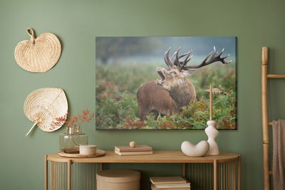 Ljuddämpande tavla - Adult deer in the rut