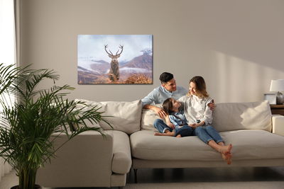 Ljuddämpande tavla - Deer and winter mountains