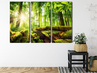 Ljuddämpande tavla - Rays of the sun in the 3d