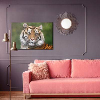 Ljuddämpande tavla - Portrait of a bengal tiger