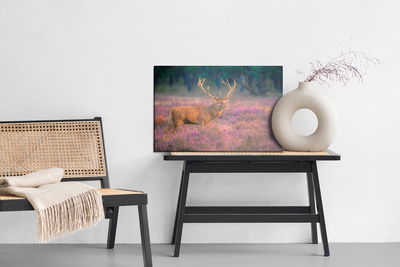 Ljuddämpande tavla - A deer in the rut