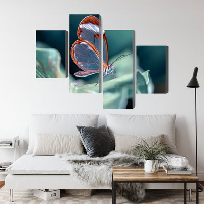 Ljuddämpande tavla - Glass-winged butterfly close