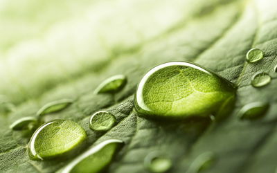 Ljuddämpande tavla - Water drops on a leaf