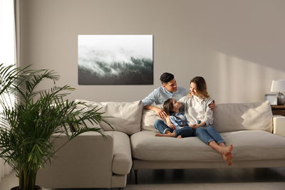 Ljuddämpande tavla - Moody forest landscape