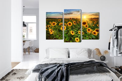 Ljuddämpande tavla - Sunflower field at sunset 3d