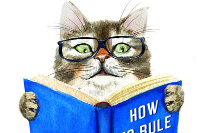 Ljuddämpande tavla - A read cat