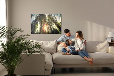 Ljuddämpande tavla - Sunrise forest