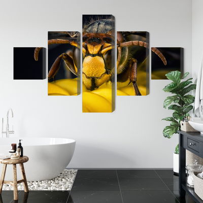 Ljuddämpande tavla - Wasp on a macro scale