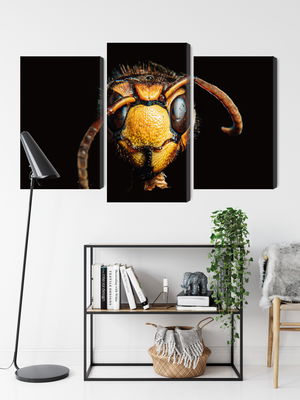 Ljuddämpande tavla - Hornet on a macro scale