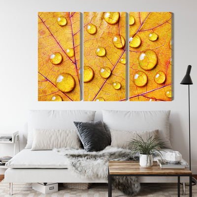 Ljuddämpande tavla - Water drops on an autumn