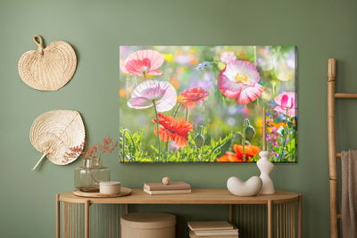 Ljuddämpande tavla - Poppies on a sunny meadow