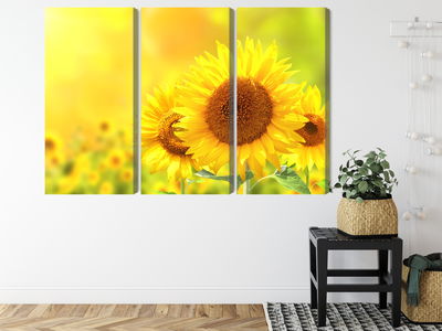 Ljuddämpande tavla - Blooming sunflowers 3d