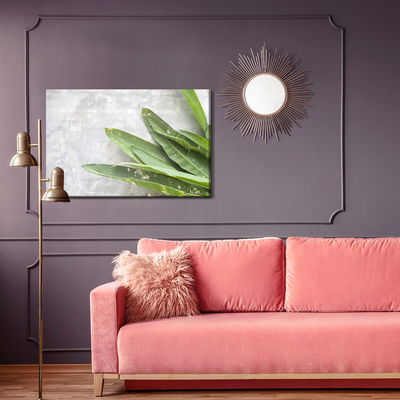 Ljuddämpande tavla - Green leaves on a concrete