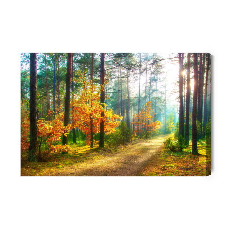 Ljuddämpande tavla - Rays of the sun in the 3d