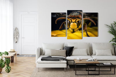 Ljuddämpande tavla - Wasp on a macro scale