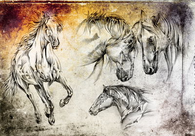 Ljuddämpande tavla - Horses as painted