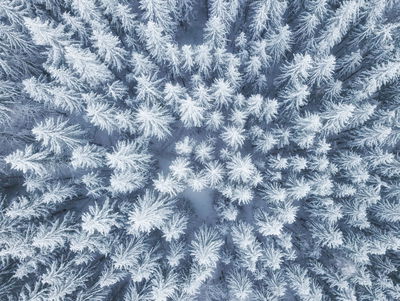 Ljuddämpande tavla - Aerial view of the winter