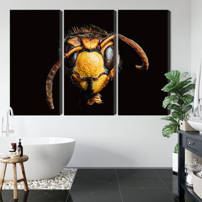 Ljuddämpande tavla - Hornet on a macro scale