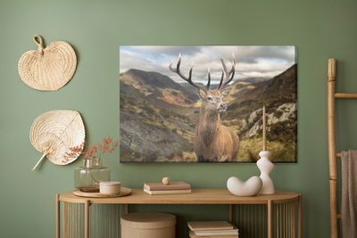 Ljuddämpande tavla - Deer on the background