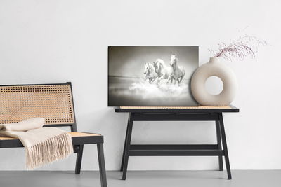 Ljuddämpande tavla - Horses in black and white