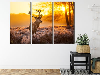 Ljuddämpande tavla - Deer in the forest at sunset