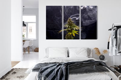 Ljuddämpande tavla - Cannabis plant on a smoky