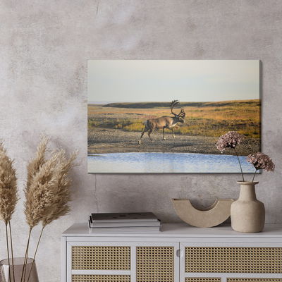 Ljuddämpande tavla - A deer over the water