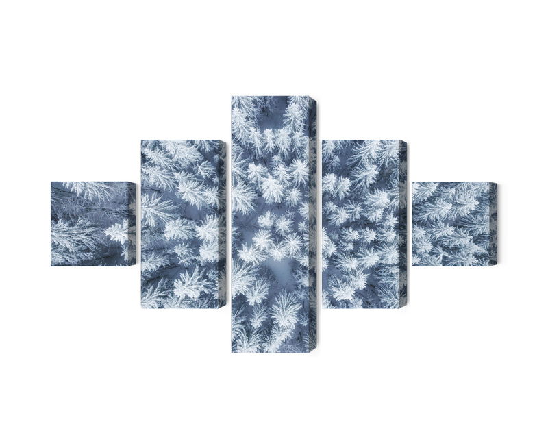 Ljuddämpande tavla - Aerial view of the winter