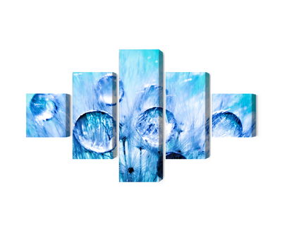 Ljuddämpande tavla - Dew drops on dandelion seeds