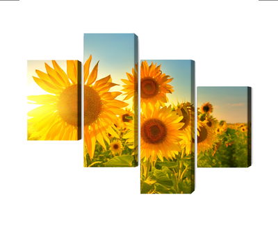 Ljuddämpande tavla - Sunflower field at sunset 3d