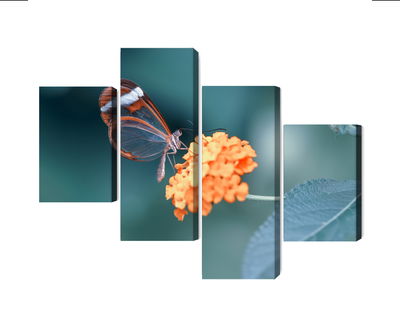 Ljuddämpande tavla - Butterfly in the summer