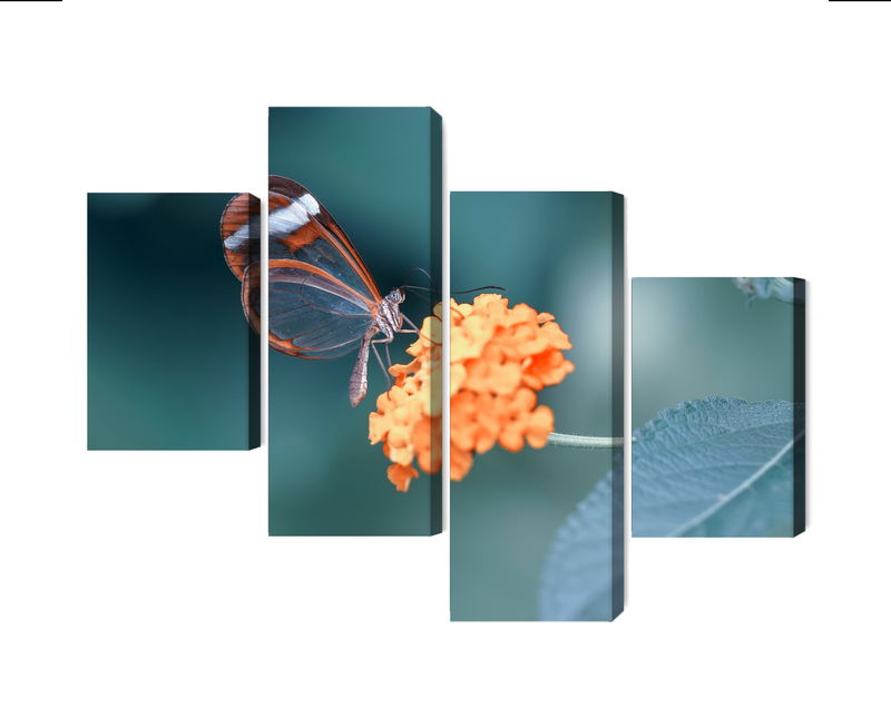 Ljuddämpande tavla - Butterfly in the summer