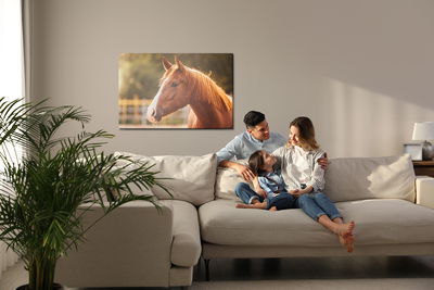 Ljuddämpande tavla - A horse in the paddock