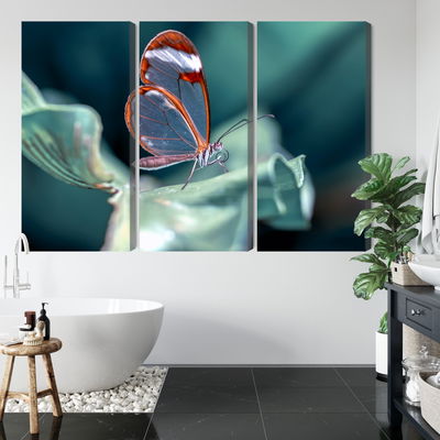 Ljuddämpande tavla - Glass-winged butterfly close