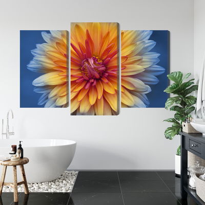 Ljuddämpande tavla - Chrysanthemum flower close