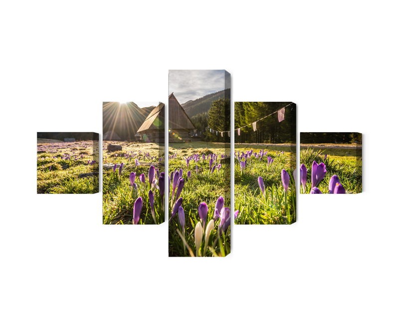 Ljuddämpande tavla - Chocholowska valley