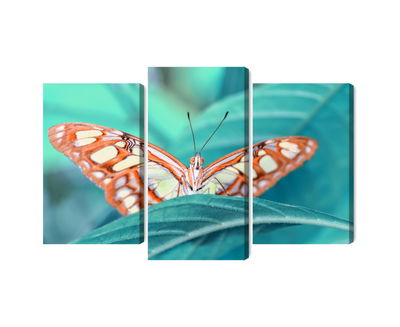 Ljuddämpande tavla - A butterfly on a leaf