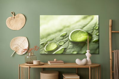 Ljuddämpande tavla - Water drops on a green leaf