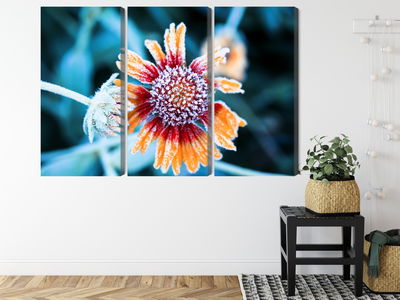 Ljuddämpande tavla - Rudbeckia flowers covered